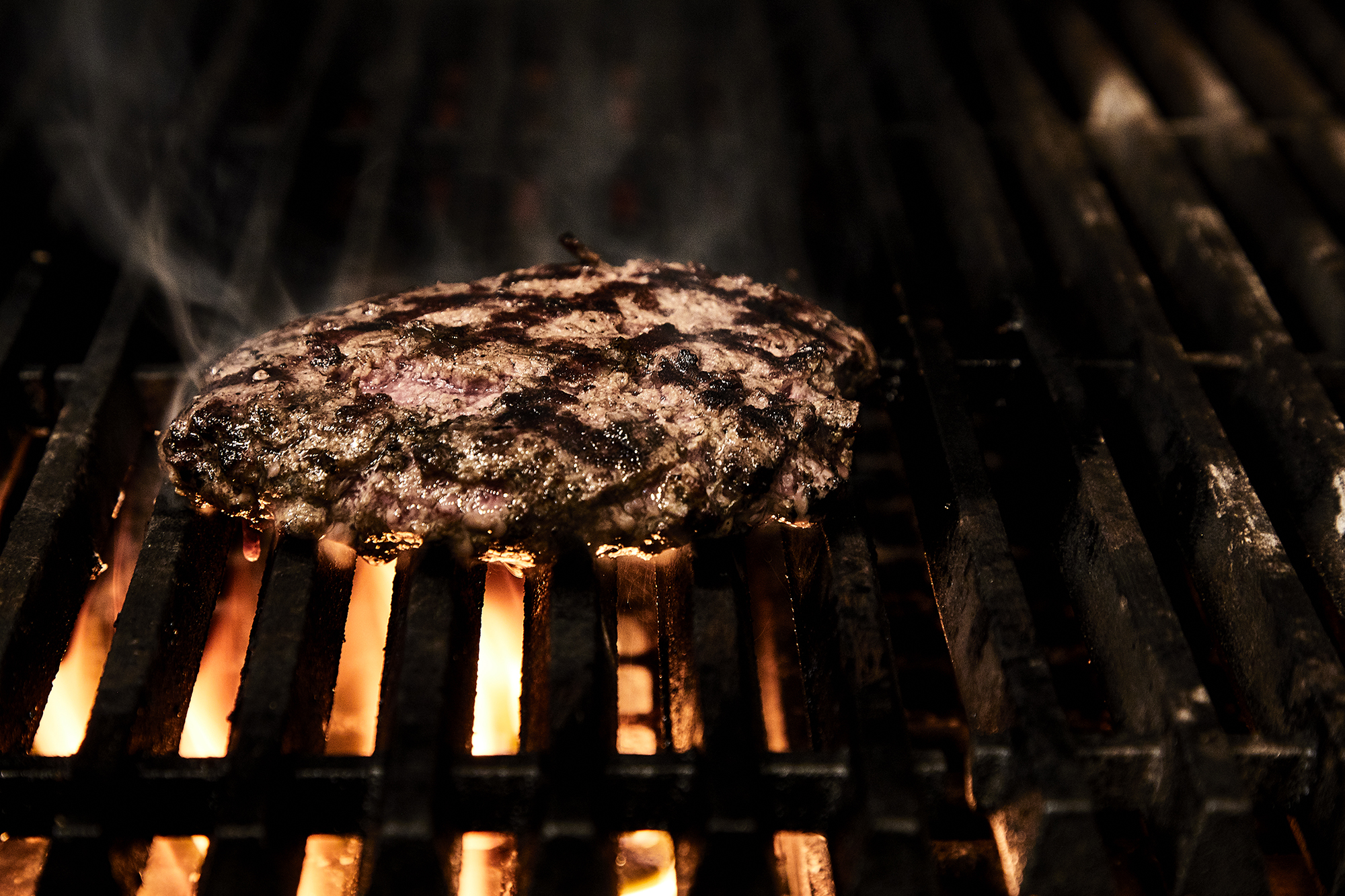 Gallery — The Tilted Row