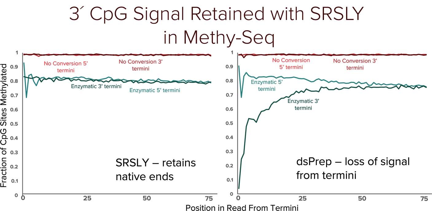3´ CpG signal retain in SRSLY15 copy.jpg