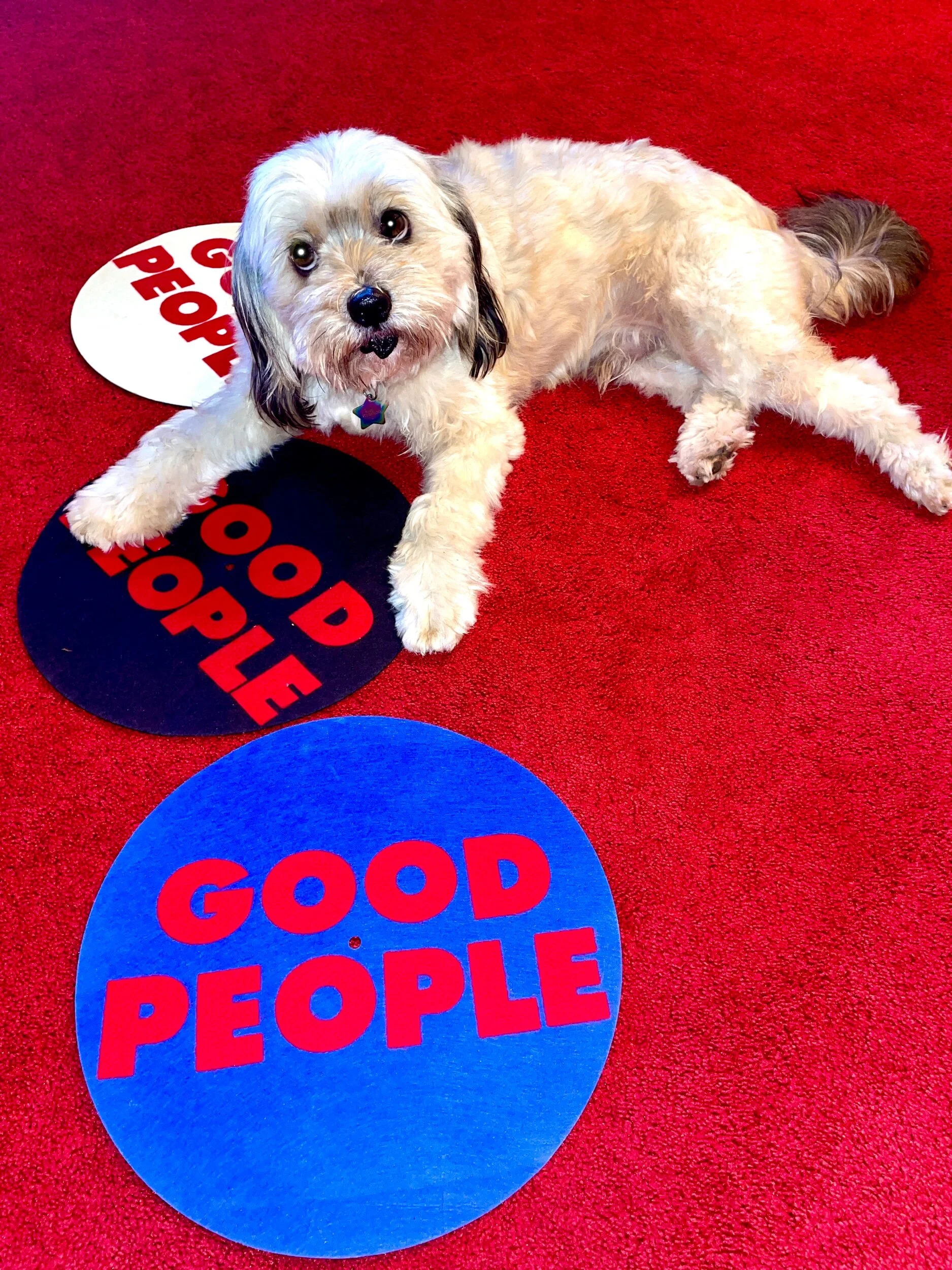 97B81A63-B0E4-4447-A777-FD4E7BE0A6C3