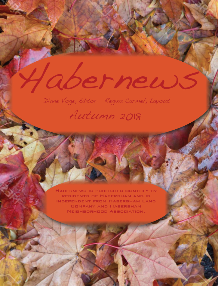 Habernews_Autumn_2018