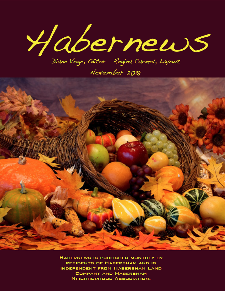 Habernews_November_2018.png