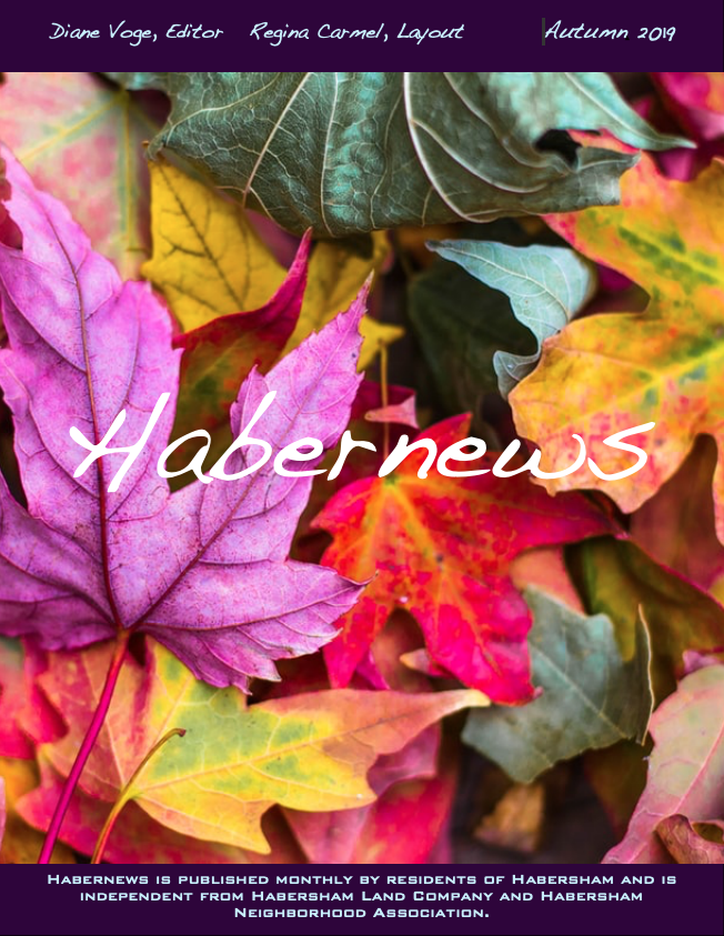 Habernews_Autumn_2019.png