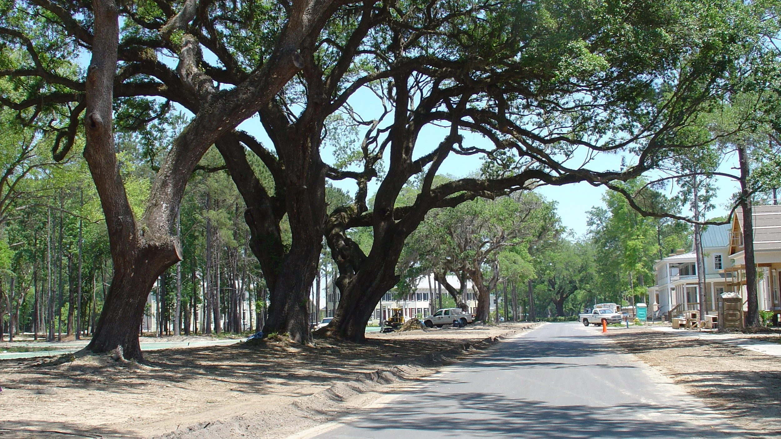 James_habersham_blvd_construction_01555.JPG
