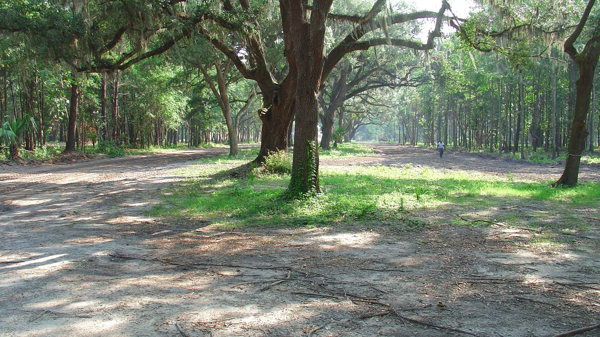 PhaseIV_00302.JPG