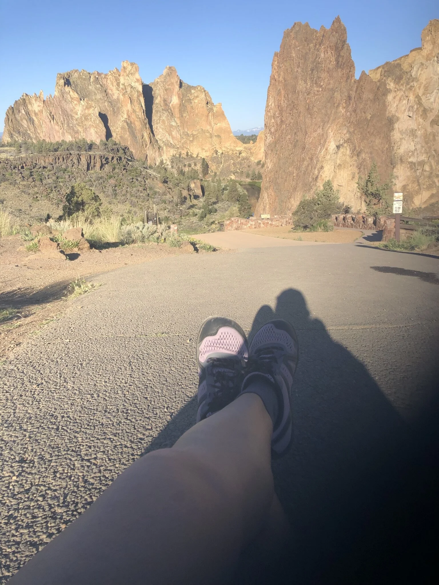 Shadow as One with Light 