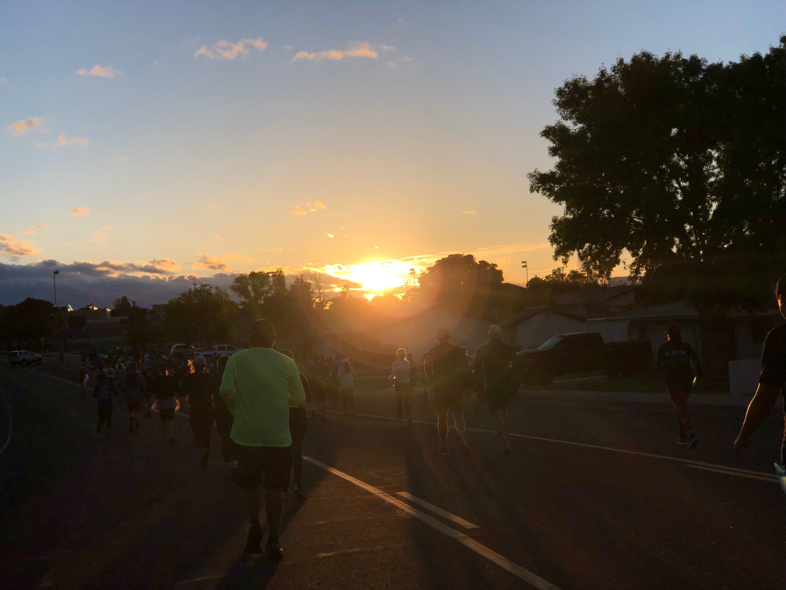 To Raise Your Vibrations 