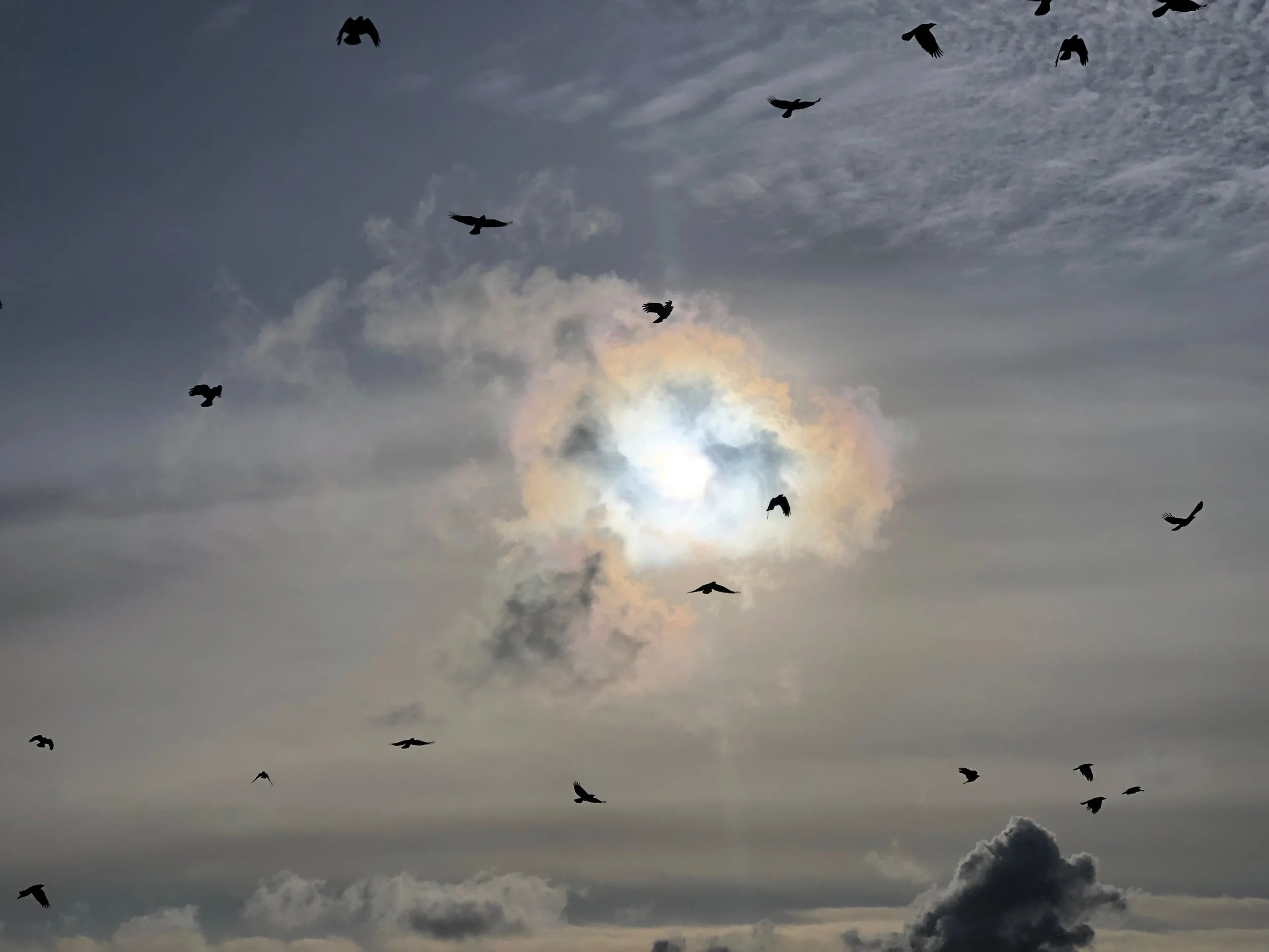 To Finally Surrender