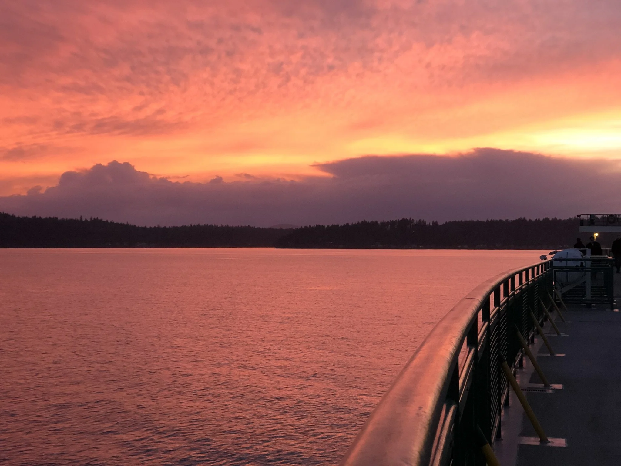 The Treasures You Hold