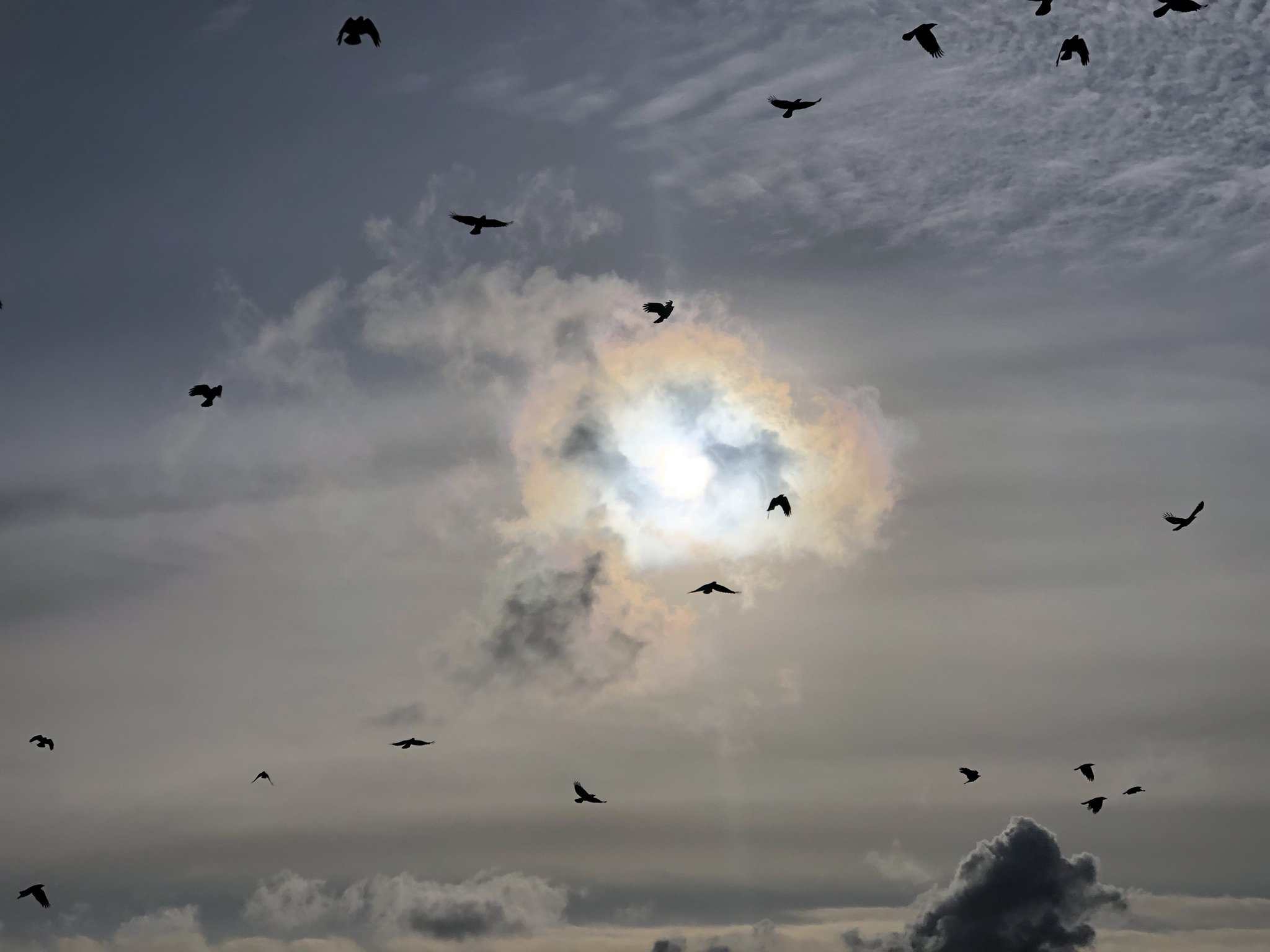 To Remember You Are Everything