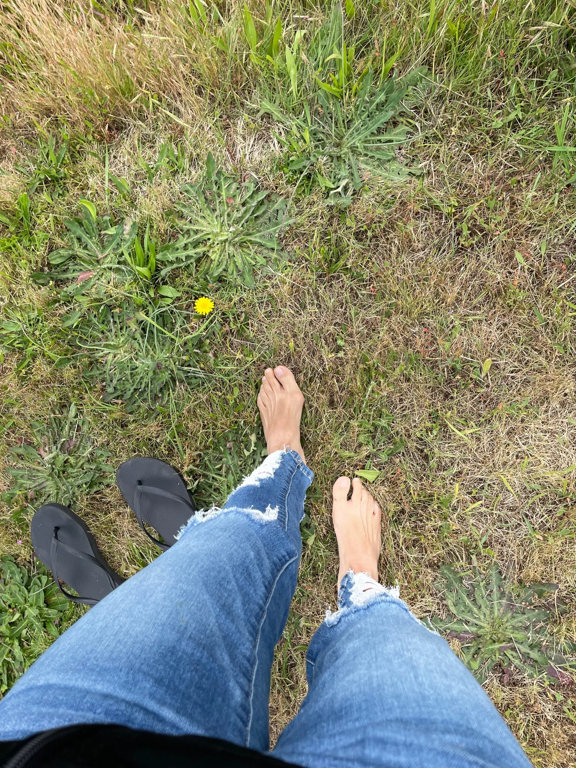 Back to Truth and Love