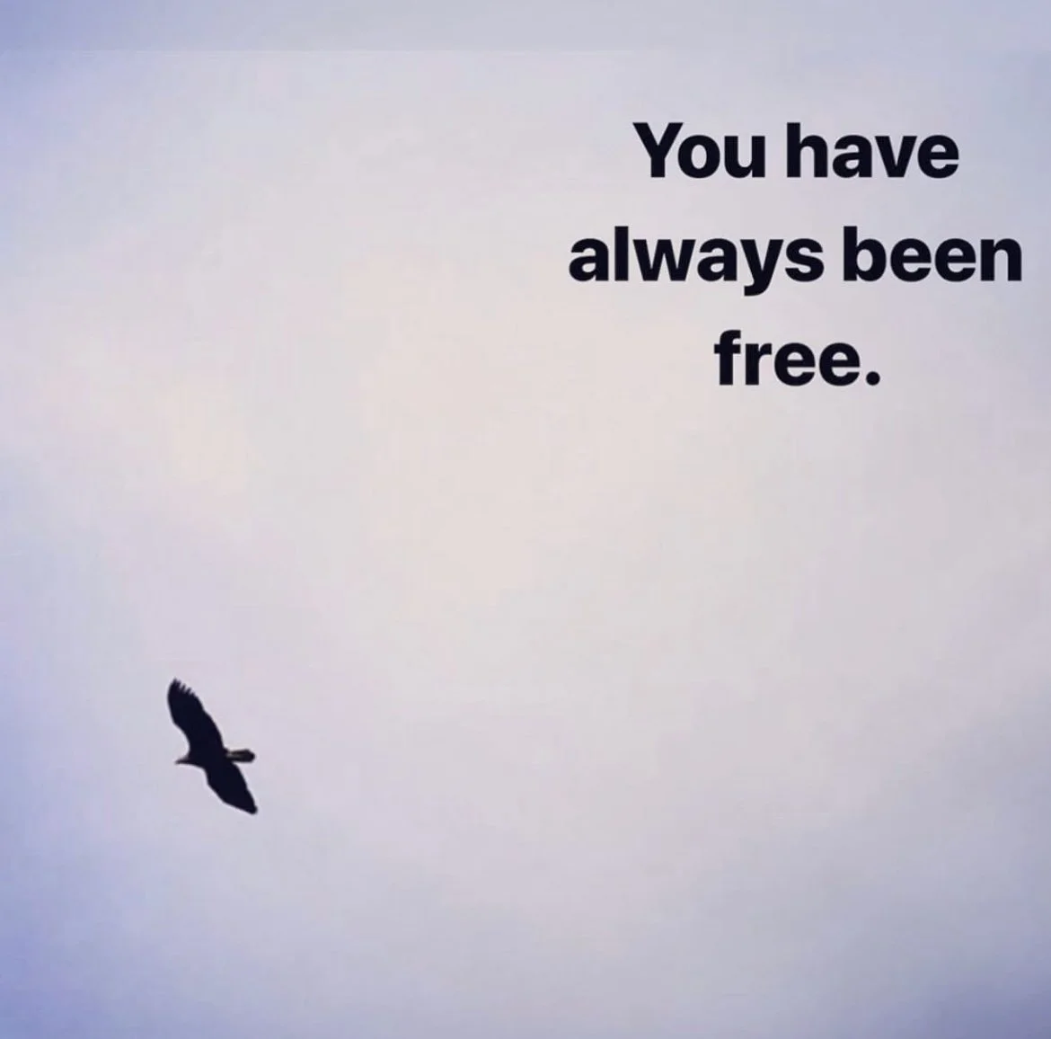 Creator of your Own Reality