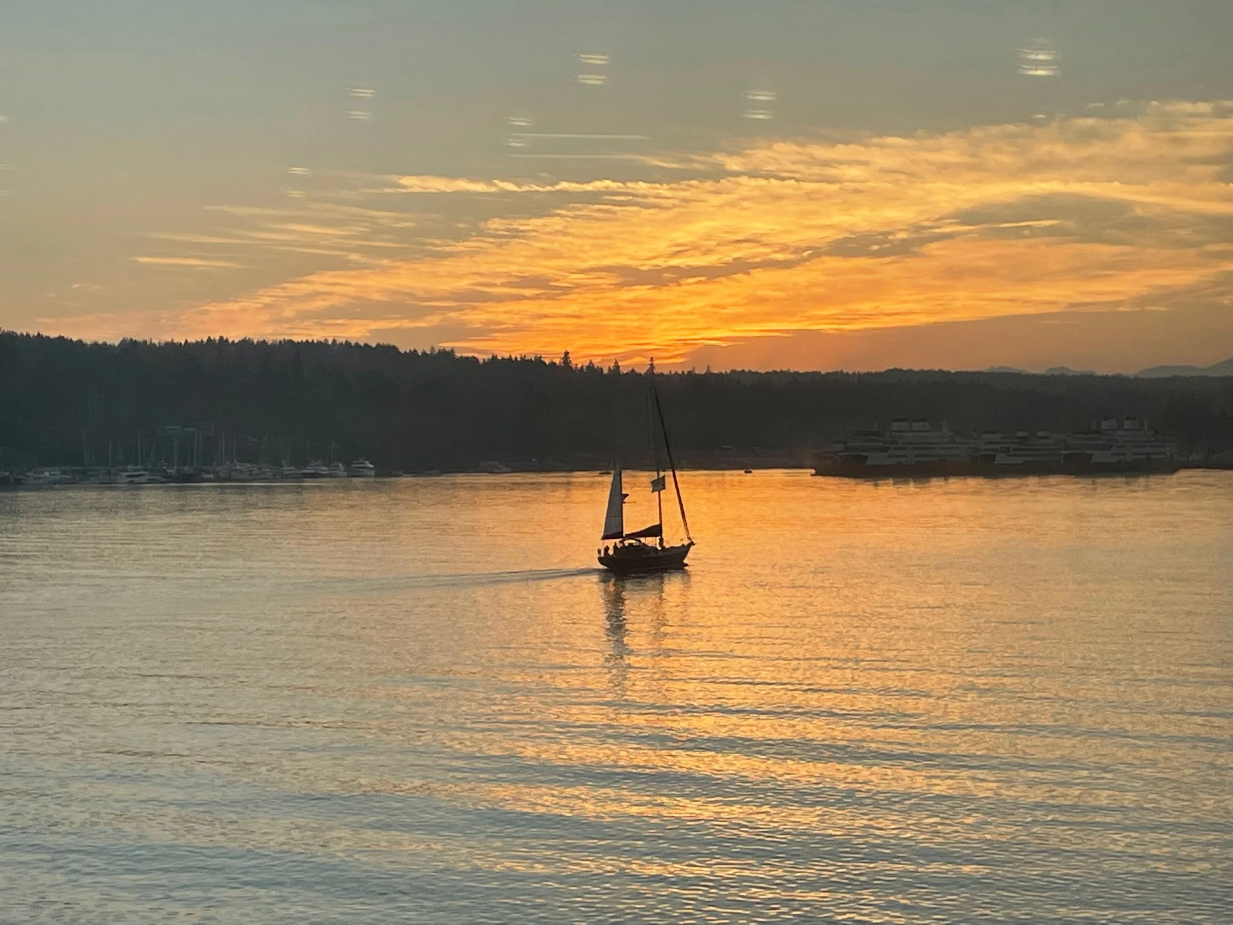 In Creation of Your True North