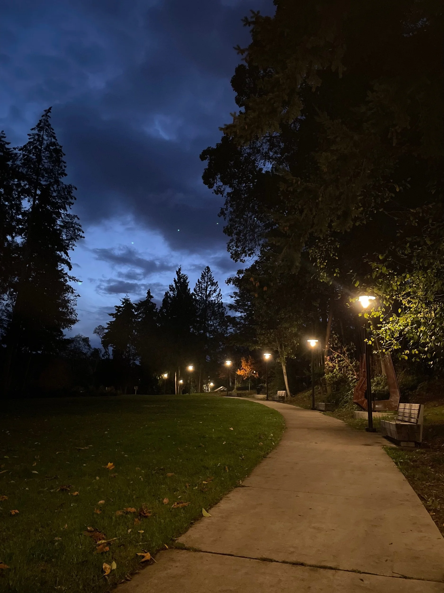 The Universe Dancing Within