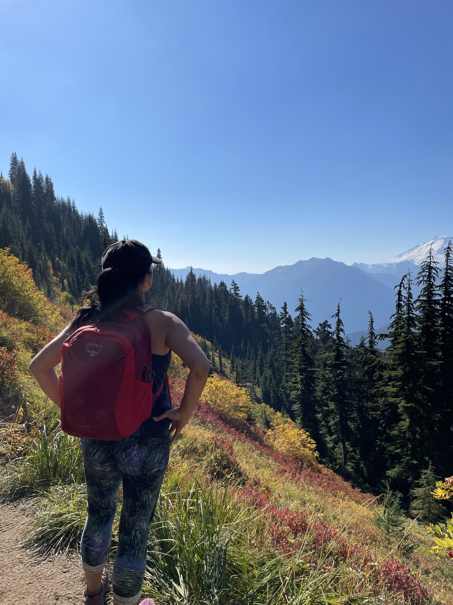 Your Body’s Wisdom