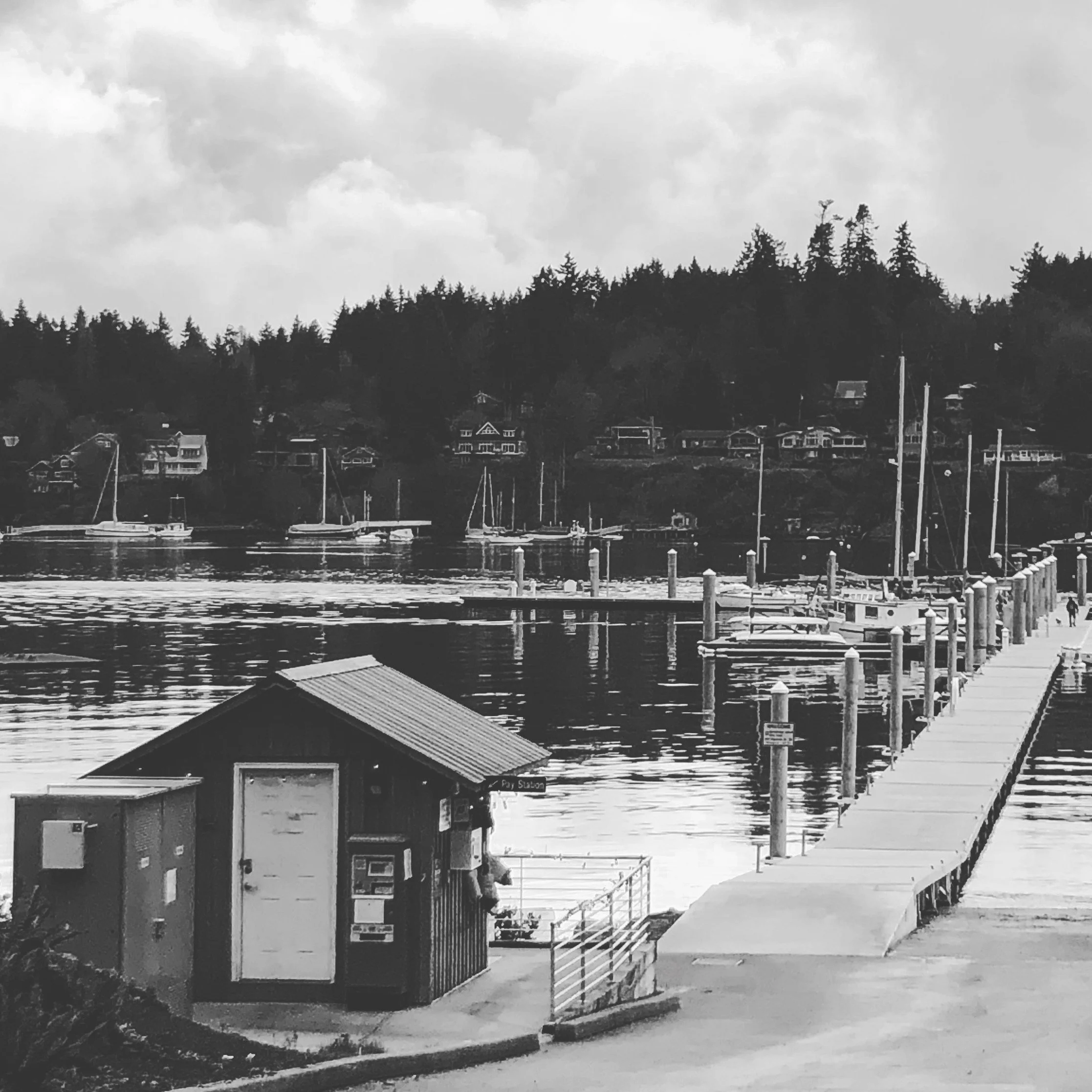 You Are Who You Looking For