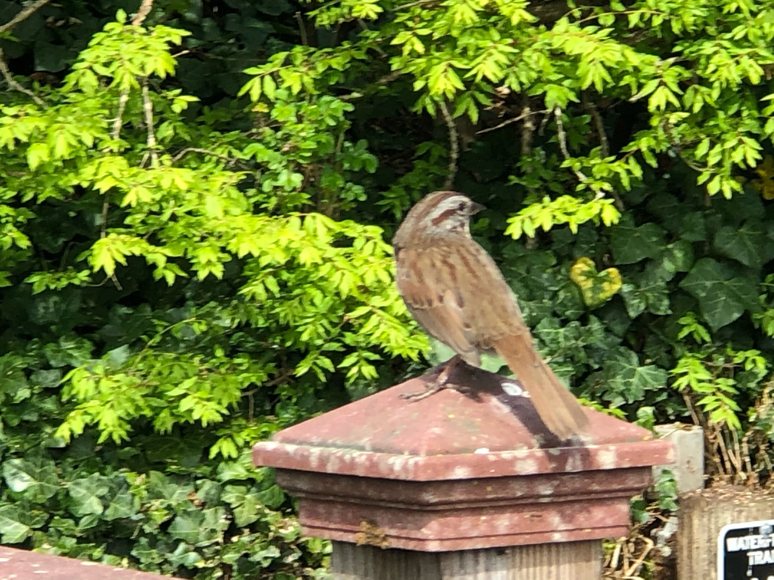 The Bird and the Universe