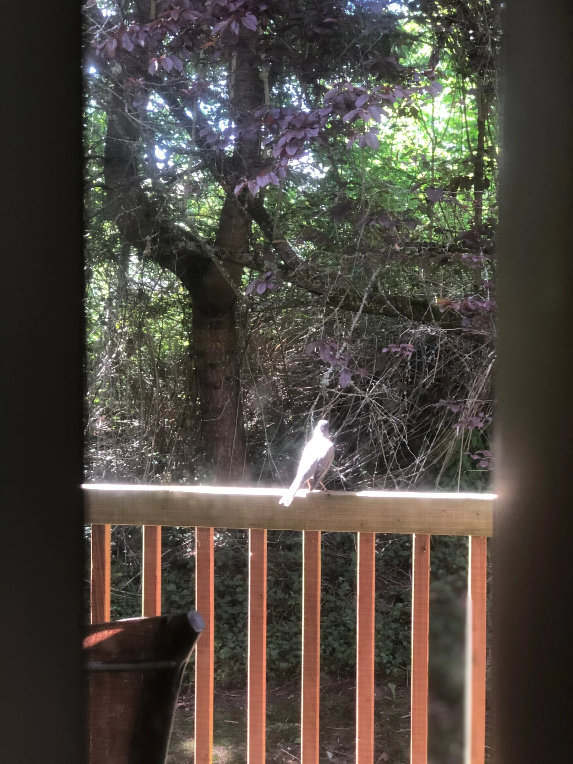 Pretending to be Somebody