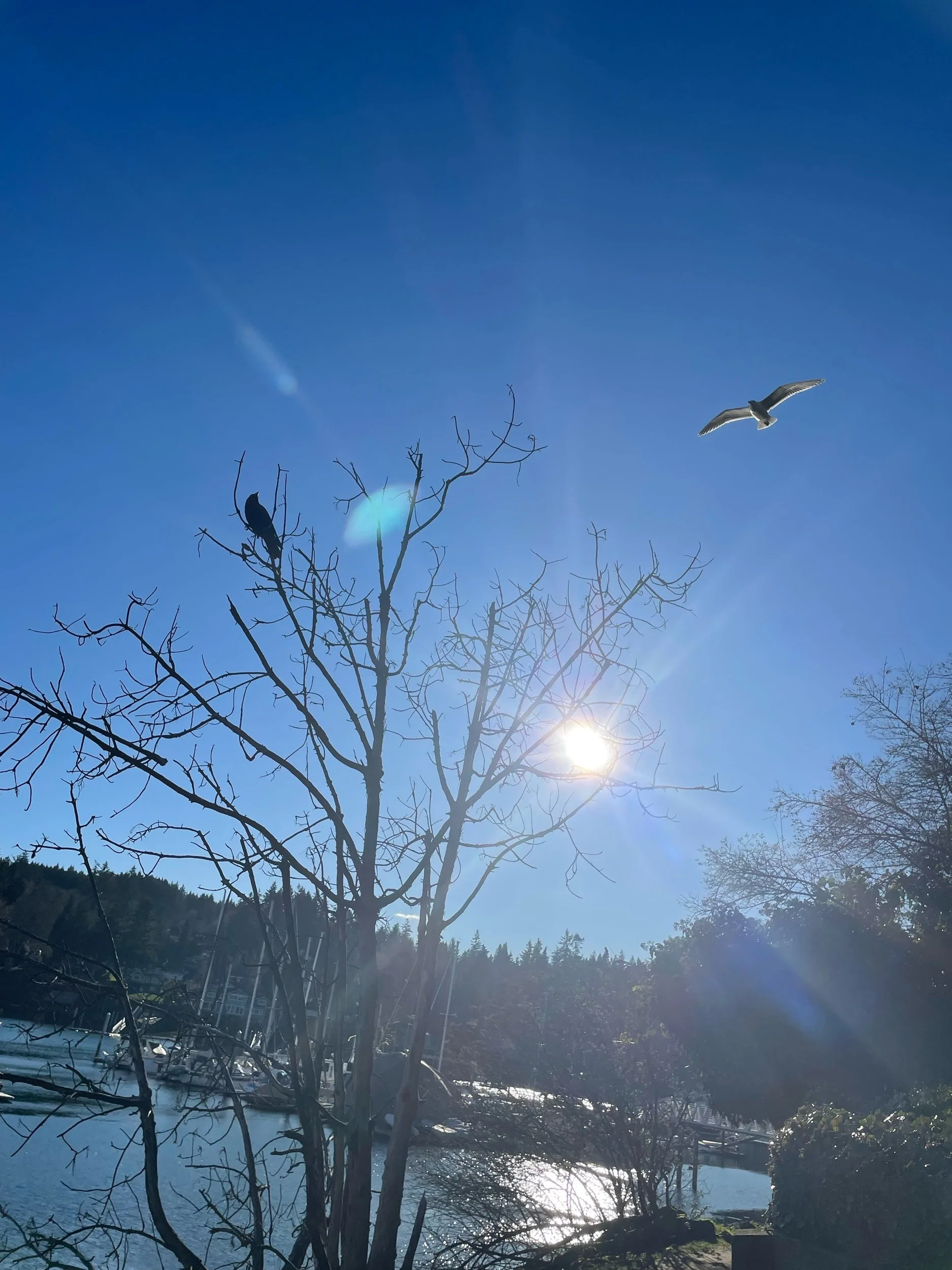 The Hero and The Villain