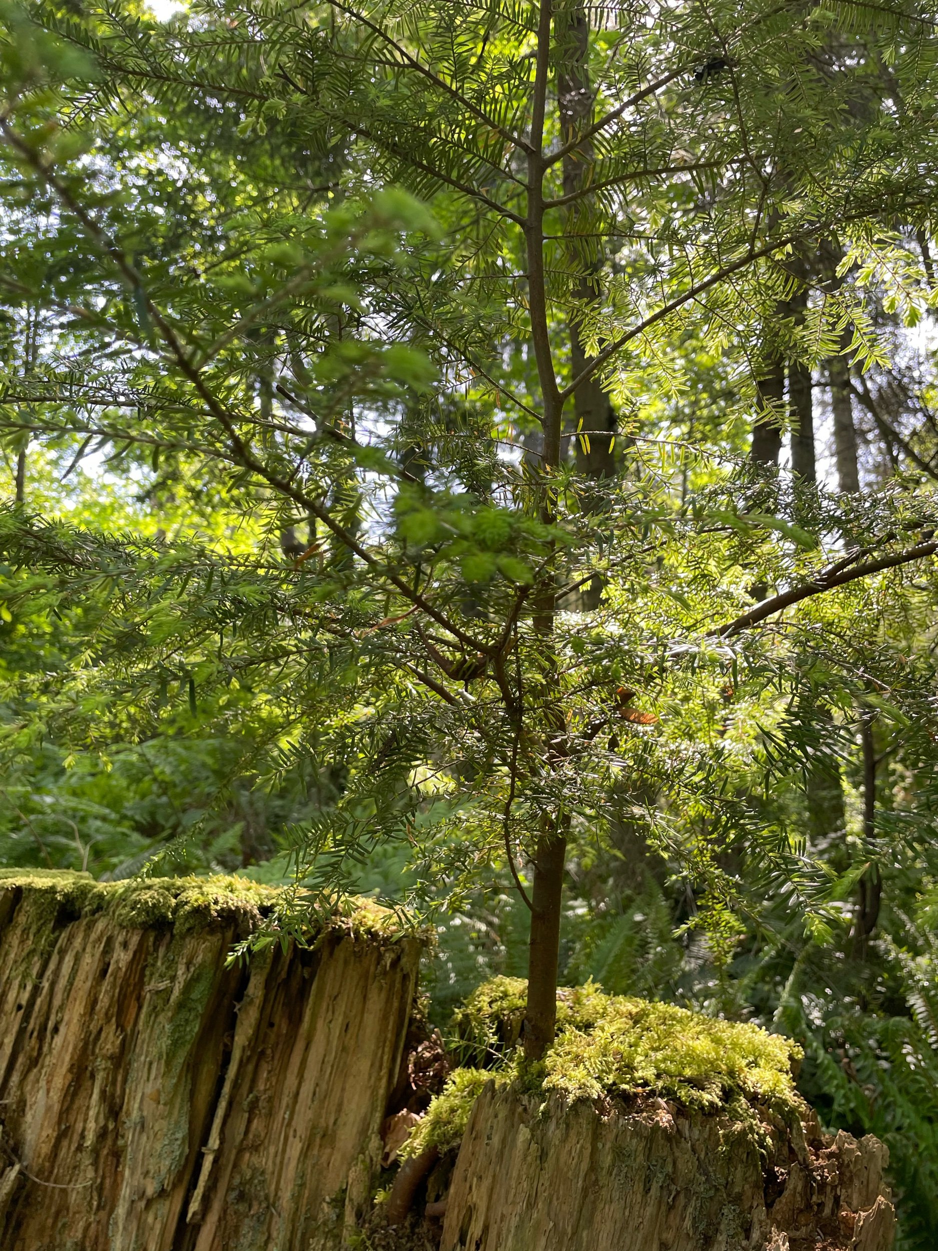 You Are the Cause and Effect