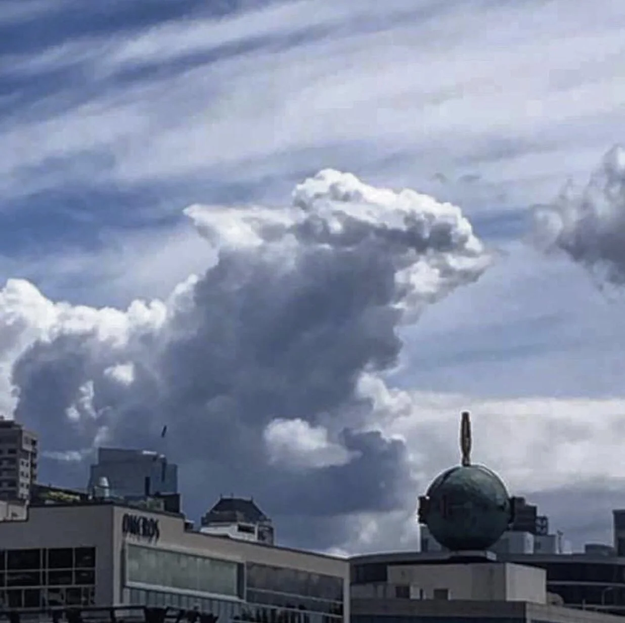 The New Game is Evolutionary