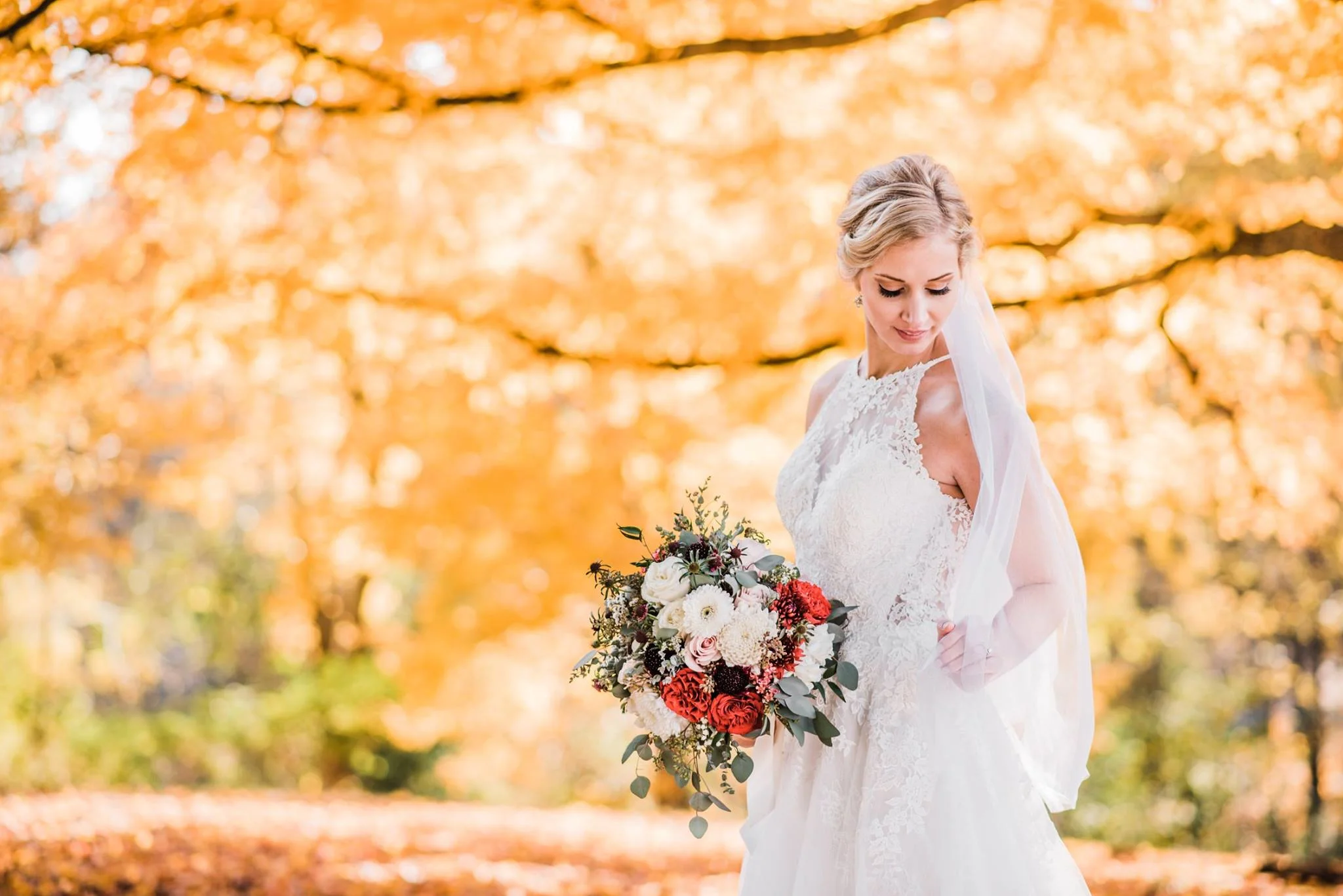 Christina Humphries - Function and Flourish Photography