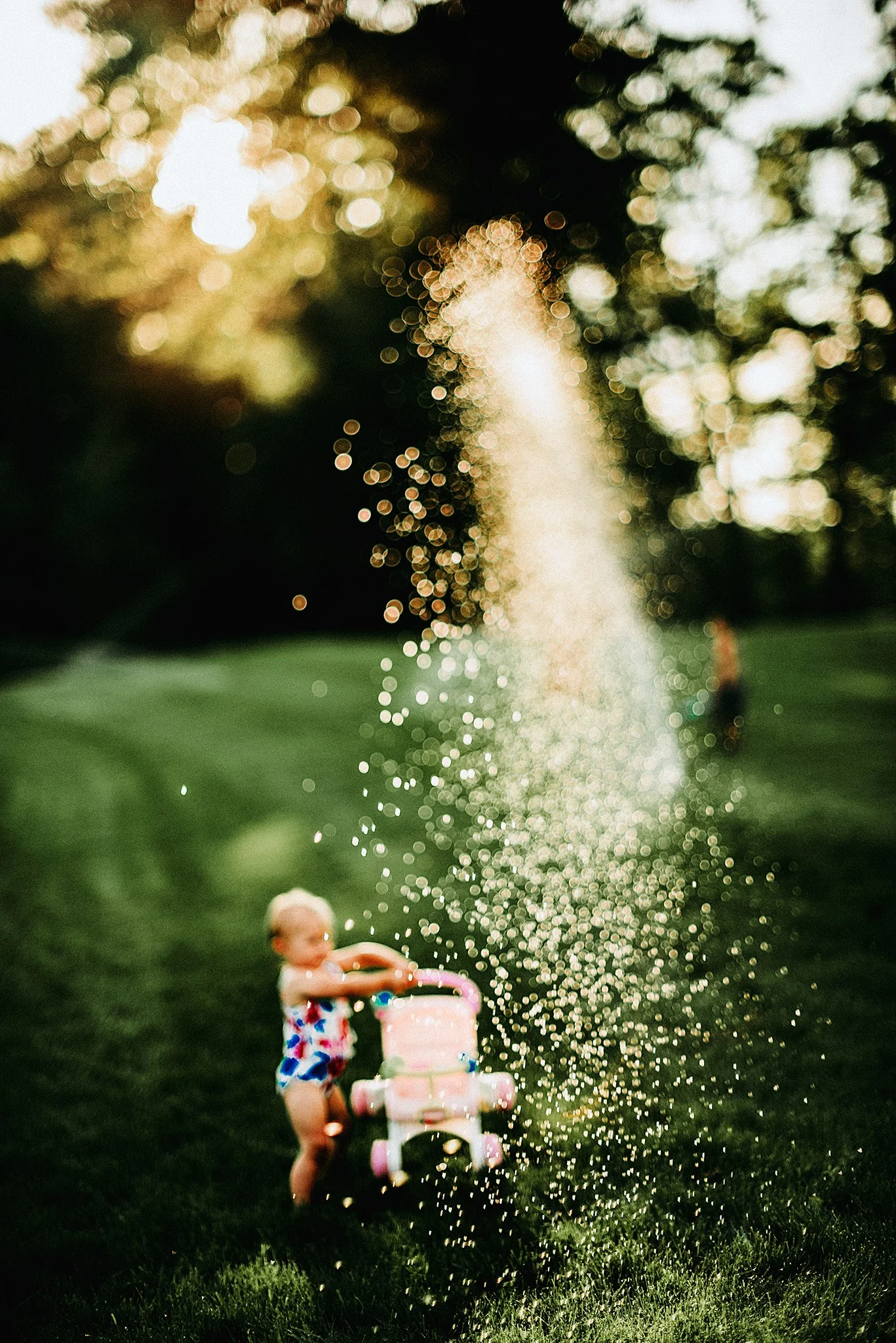 Mandi Johnson - Mandi Johnson Photography