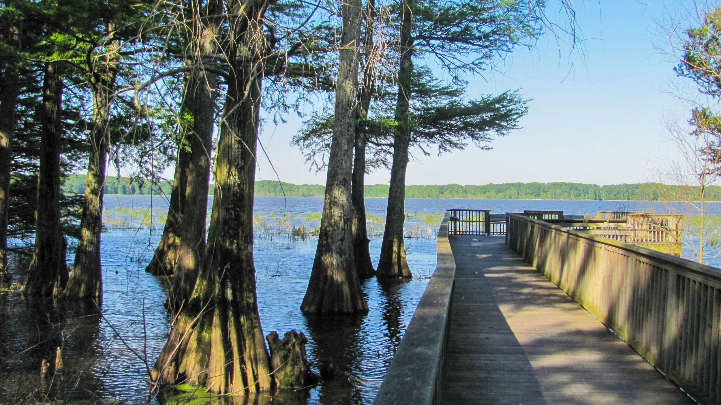 wapanocca_nwr_05142013_alr-2118.jpg