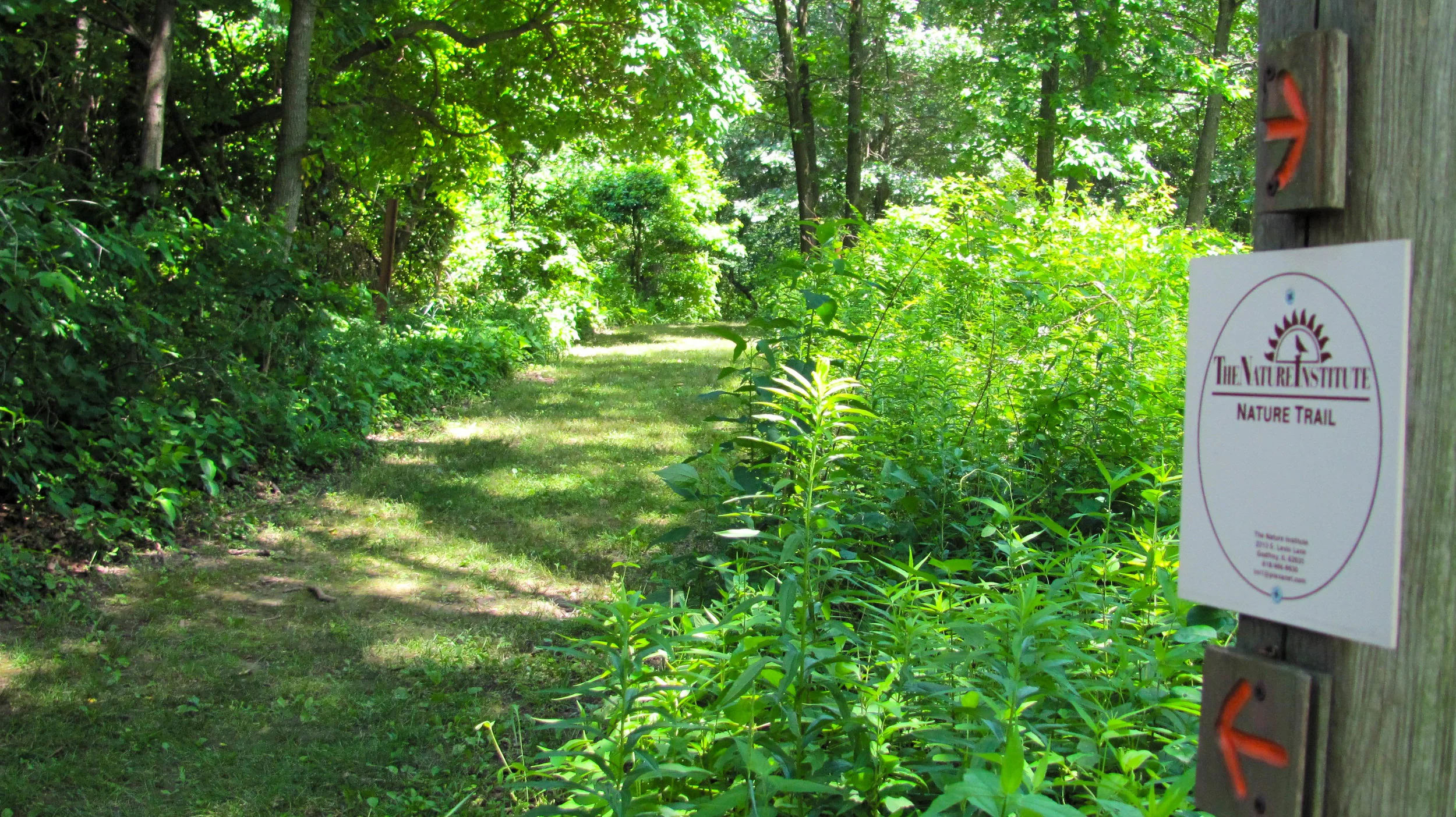 olin_06292013_alr-2941.jpg