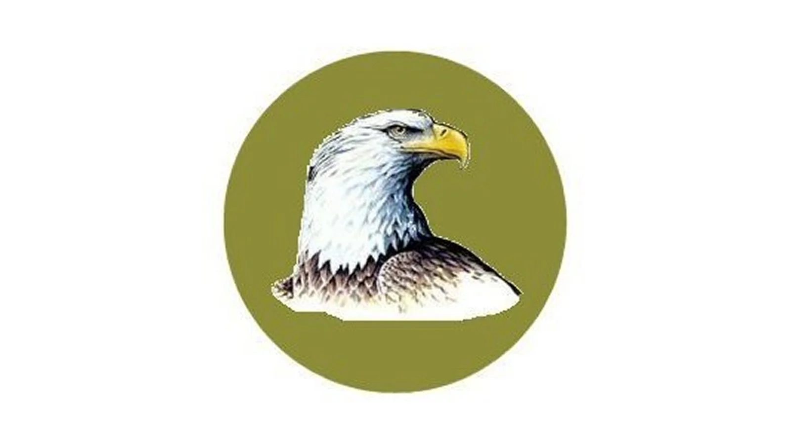 explore-eagle-icon.jpg