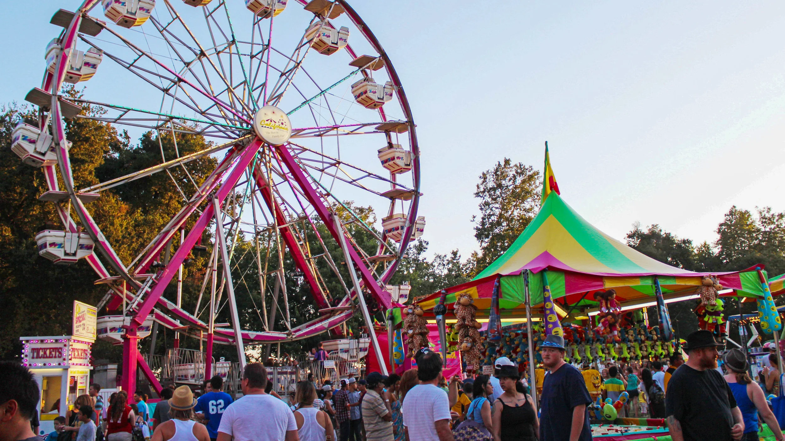 county-fair-alr-2.jpg