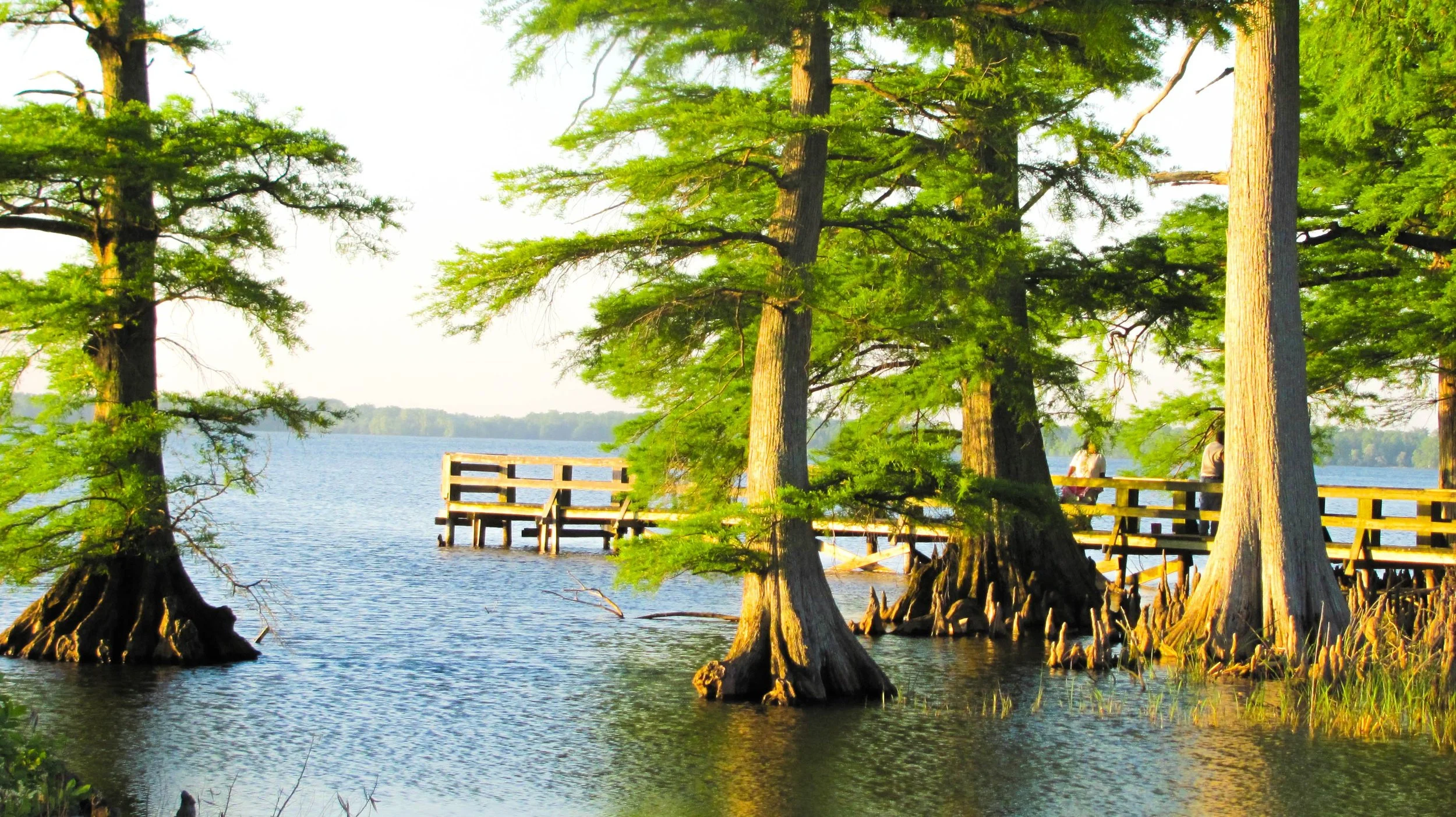 reelfoot_05142013_alr-2250.jpg