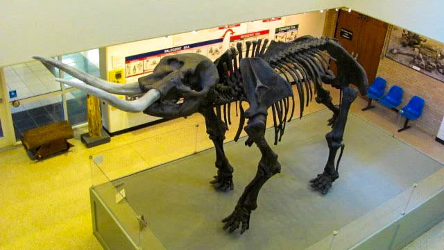 asu-museum-05131013-c169-alr-2003.jpg