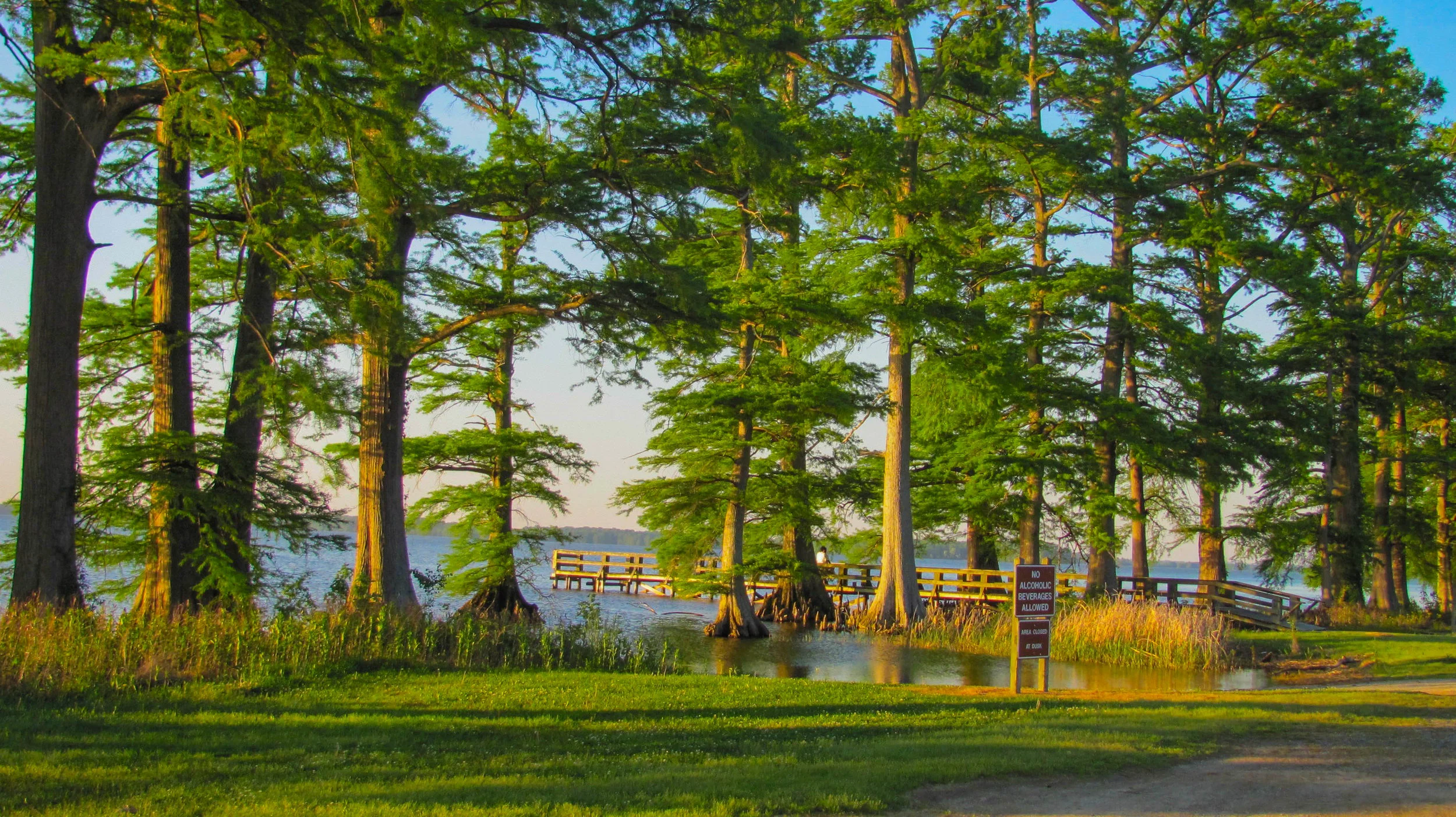 reelfoot-sp-05142013--alr-2248.jpg