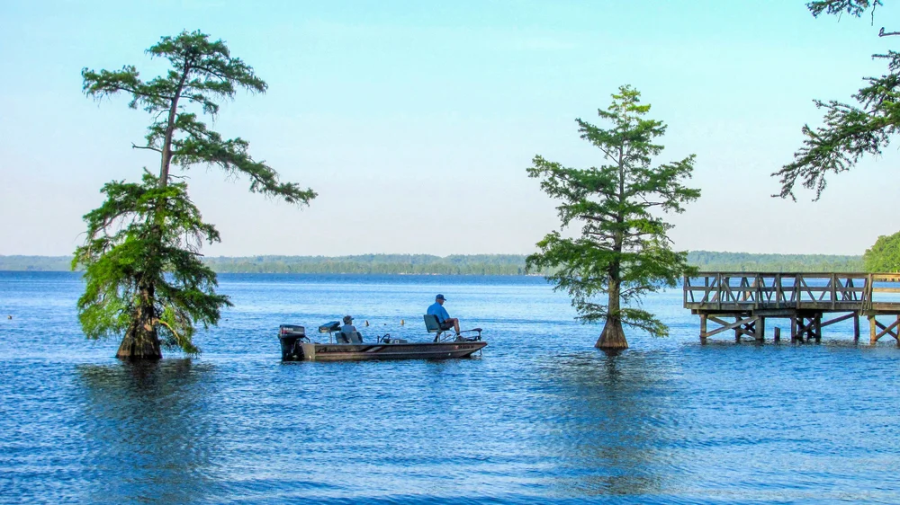 Reelfoot Lake State Park Tiptonville Tn Greatriverroad Com