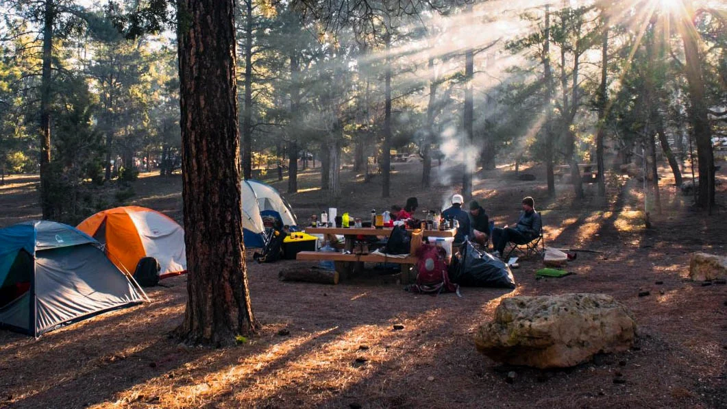 camping-alr-c169-1-.jpg