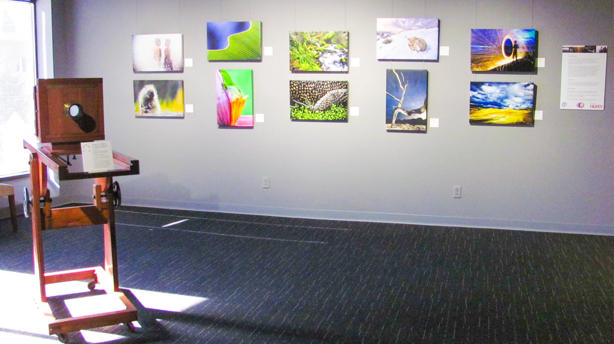 iphof-11132013-alr-4092.jpg