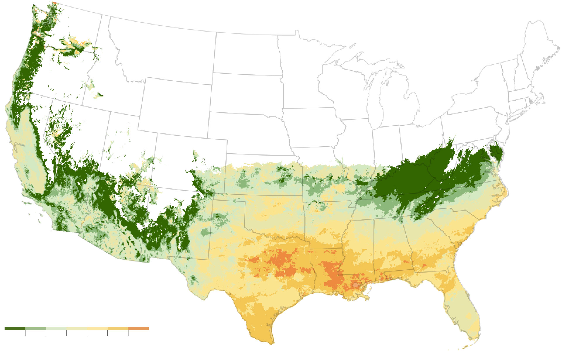 Animated Visualization of First Leaf Appearance