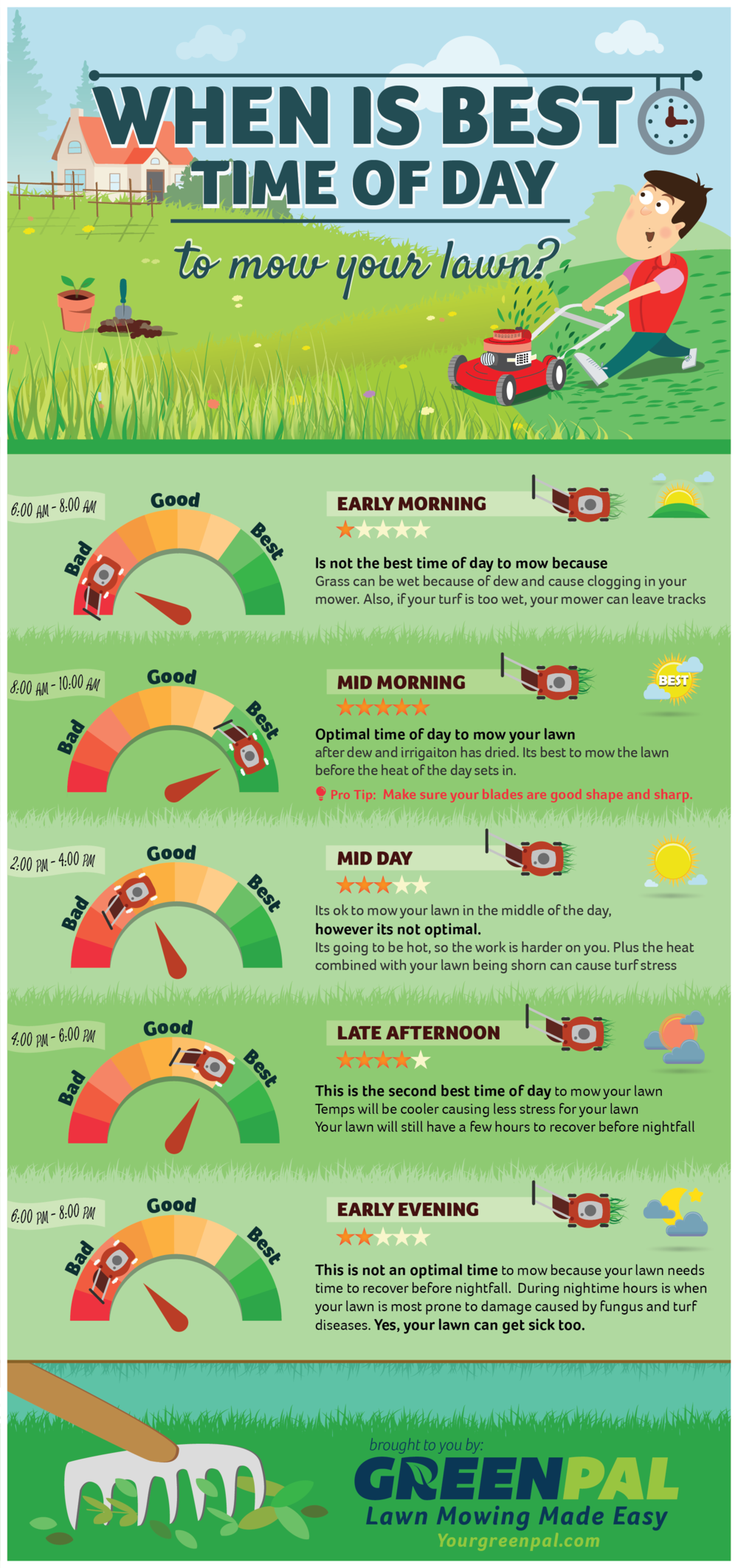 When is Best Time of Day to Mow Your Lawn?