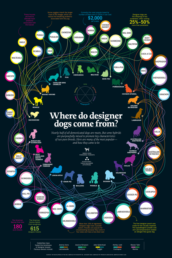 Where Do Designer Dogs Come From?