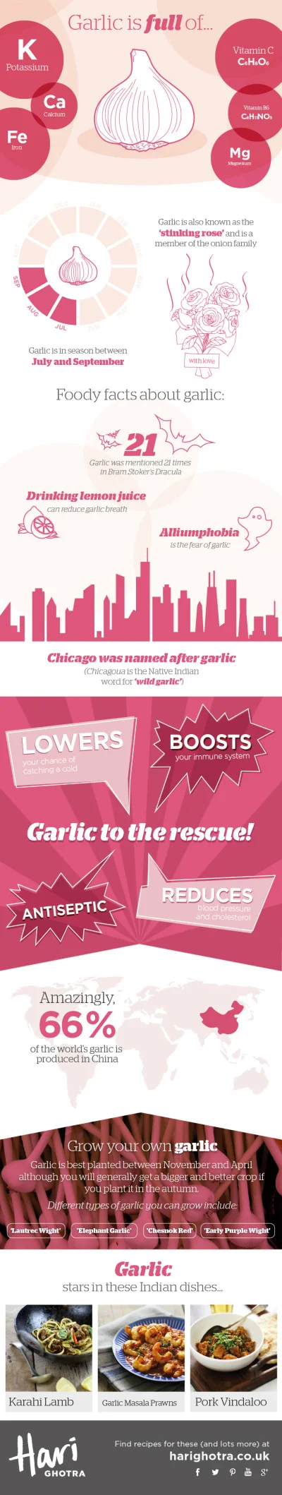 Chef Hari Ghotra's Key Ingredients Infographics