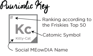 purr-key.png