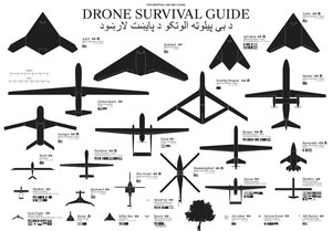 The Drone Survival Guide