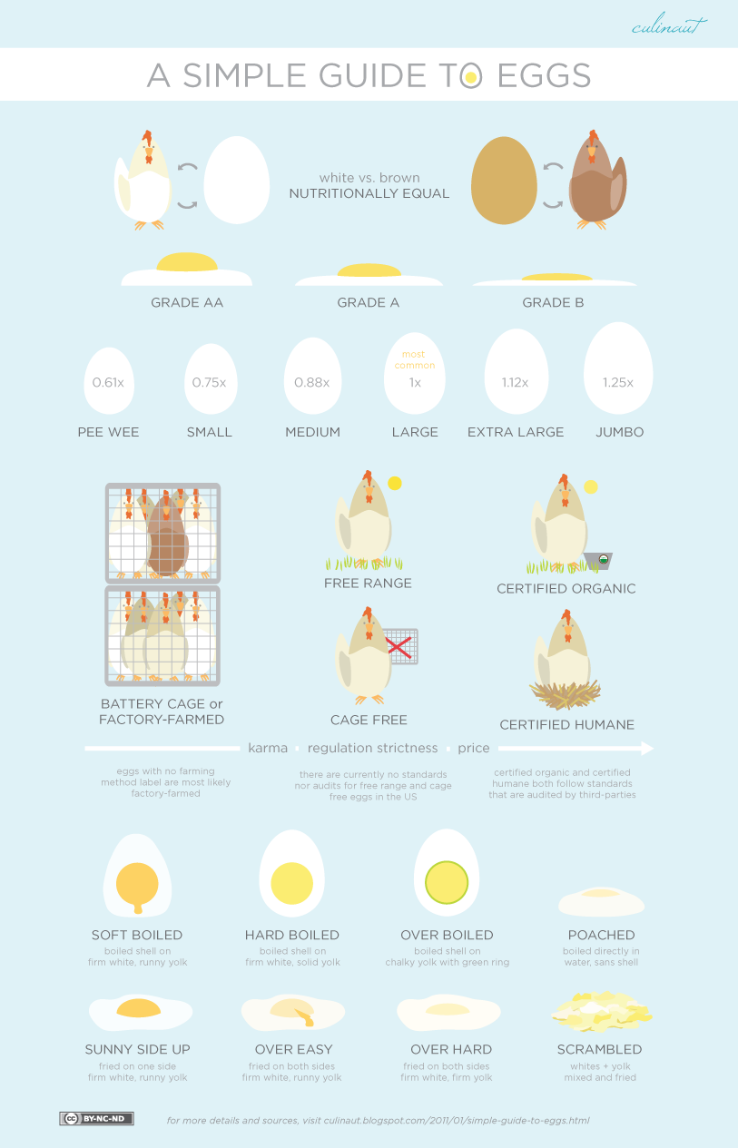 A Simple (Visual) Guide to Eggs