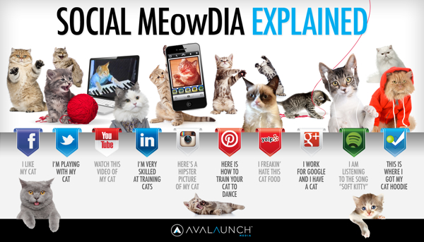 Paws vs. Claws: Social Media Explained