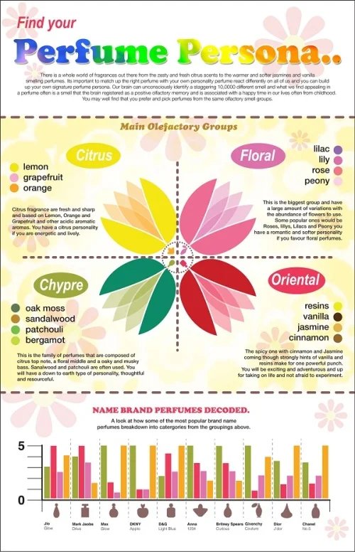 Find Your Perfume Persona infographic