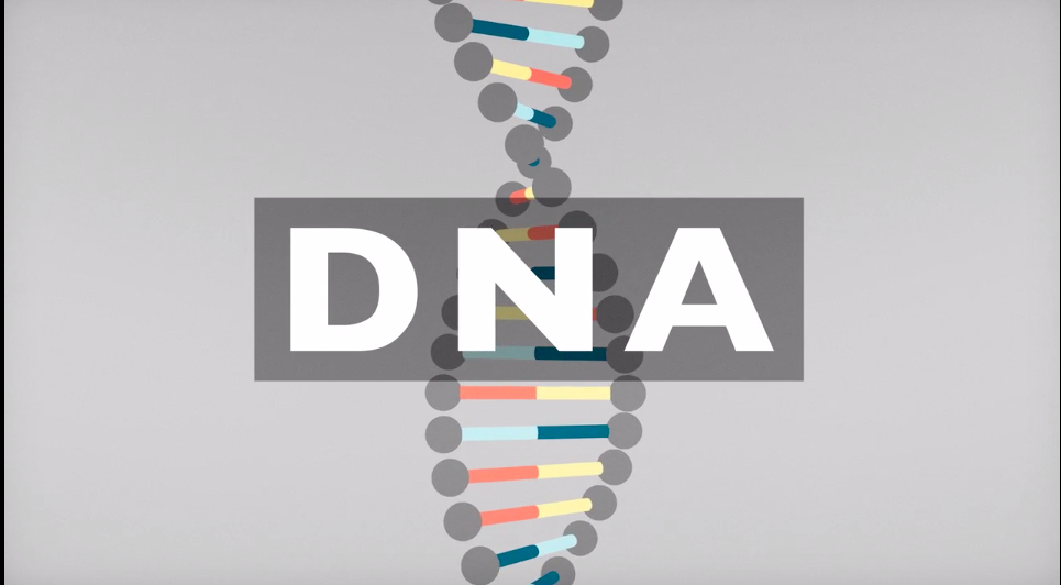 DNA Explained