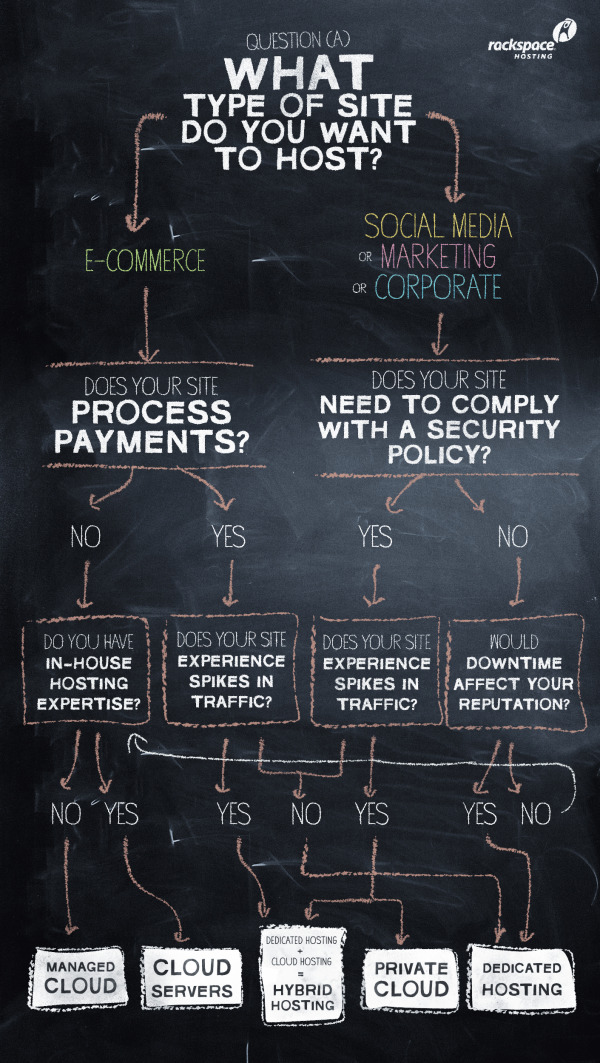 Website Hosting Decisions infographic