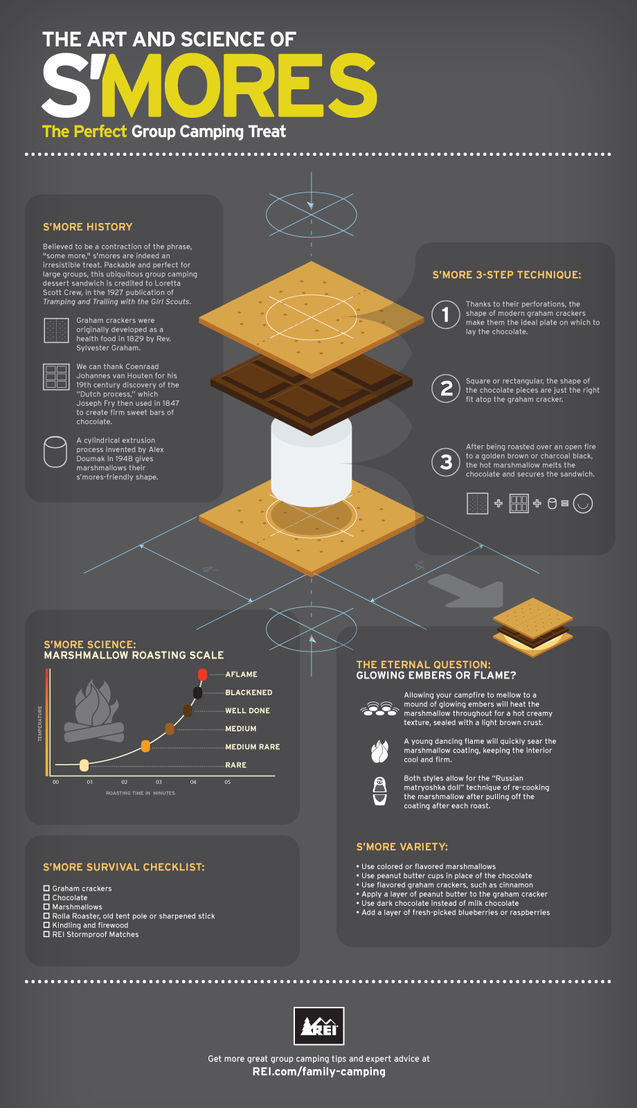 The Art and Science of S'mores infographic
