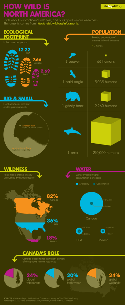 How Wild is North America? (infographic)
