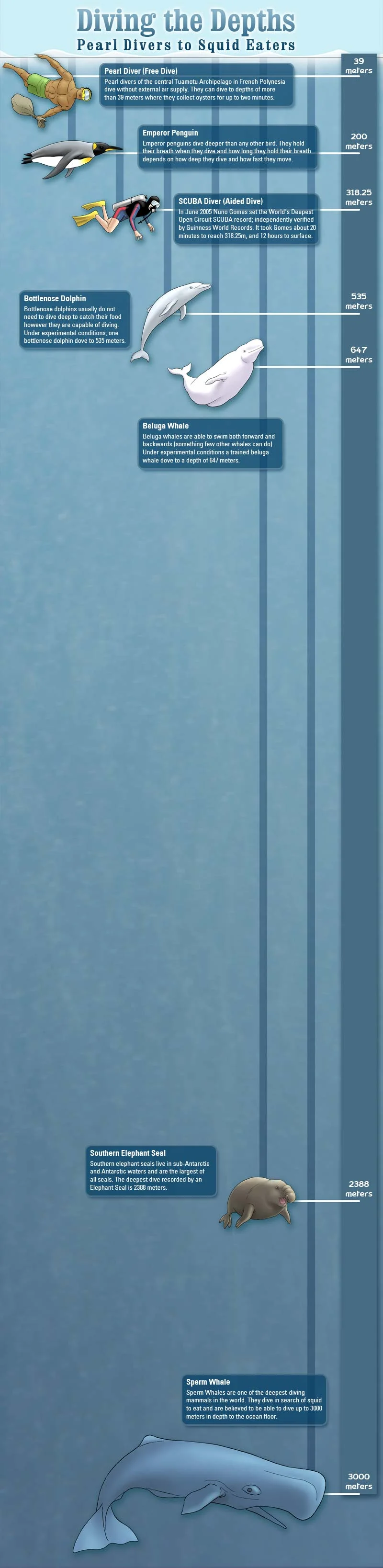 Diving the Depths - a really deep infographic